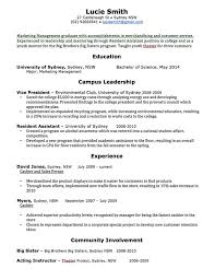 resume template professional
