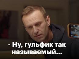 Он позвонил своему предполагаемому отравителю и заставил во всем признаться. Trusy Navalnogo Tolko Shutki I Memy O Telefonnom Razgovore S Sotrudnikom Fsb Rosbalt