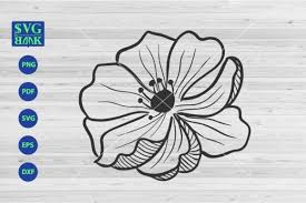 Nature and flora vector graphics of different bouquets. Big Cosmos Flower Graphic By Svgbank Creative Fabrica