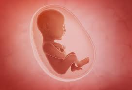 Reading To Baby In Womb Benefits And Stories To Read