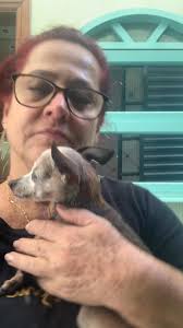 deliciasdabetebenatto