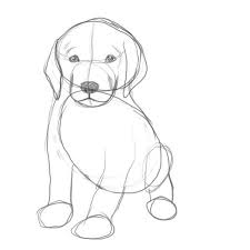 How to draw a puppy easy realistic. Are You Looking For A Tutorial On How To Draw A Puppy Look No Further Here At The Drawing Factory You L Dog Drawing Tutorial Dog Drawing Simple Puppy Drawing