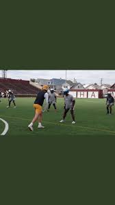 The 2020 ohio state buckeyes football team represented ohio state university in the 2020 ncaa division i fbs football season. Davison 2021 Te Luke Malenich Received A Roster Spot From Ohio Northern The D Zone Football