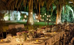 Image result for Atalaya alata