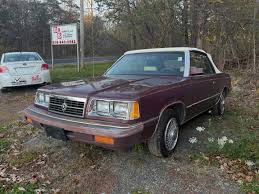 Image result for Bright White 1993 Dynasty