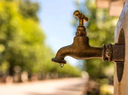 How to get rid of rats in the garden humanely. How To Get Rid Of Rats From Your Yard And Prevent Them From Coming Back The Bug Master Pest Control And Disinfecting