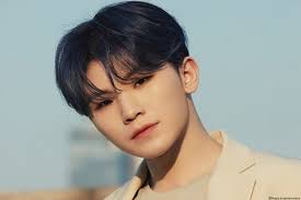 A multi talents idol which take a huge part in a korean boy group called. Seventeen Woozi Complete Profile Facts And Tmi