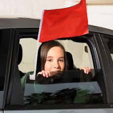 Parliky 12pcs Flagpole Stand American Decor Usa Decorations Mini Decor Flag  Pole for Car Window Beach Flag Pole Automobile Flag Frames Clip-on Flag  Holder Window Clip for Car Flag Cassette : Buy