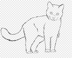 Imcytox opened this issue jan 12, 2019 · 3 comments. Whiskers Kitten Line Art Kucing Berambut Pendek Domestik Kucing Putih Mamalia Pensil Png Pngwing