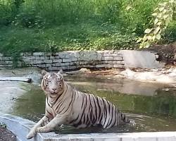 National Zoological Park, New Delhi