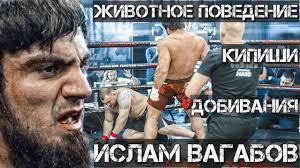 Islam vagabov official sherdog mixed martial arts stats, photos, videos, breaking news, and more for the middleweight fighter from russia. Boec Mma Iz Mahachkaly Islam Vagabov Izbil Pozhilogo Muzhchinu Pikabu