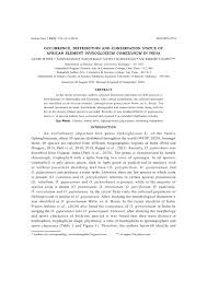 Image result for Ophioglossum gomezianum