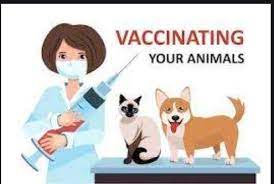 To avoid submission errors, please make sure to complete every field that includes a red asterisk. Alaska Spca Vaccination Scheduling Available Online We Facebook
