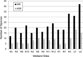 Image result for Fuirena pachyrrhiza