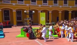 @petschvxnss video Tweet