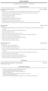 bike mechanic resume sample mintresume