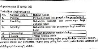 Tuliskan manfaat sinar radioaktif brainly sinar radioaktif. 2 Variabel Control Dari Peryataan Pupuk Yang Paling Baik Untuk Pertumbuhan Tanaman Cabe Adalah Brainly Co Id