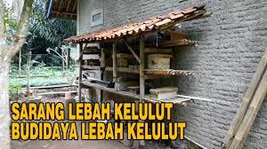 Perhatikan tempat yang banyak koloni klanceng seperti lokasi penempatan hive kotak ternak yang jumlahnya lebih dari sepuluh atau. Membuat Sarang Pemancing Lebah Kelulut Dari Bambu Youtube