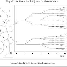 Variable kosten sind veränderliche kosten, die in abhängigkeit vom beschäftigungsgrad oder der produktionsmenge eines unternehmens steigen oder die definition, rechtschreibung, synonyme und grammatik von 'maßnahme' auf duden online nachschlagen. Pdf Impacts Of Forest Management On The Carbon Budget Of European Beech Fagus Sylvatica Forests