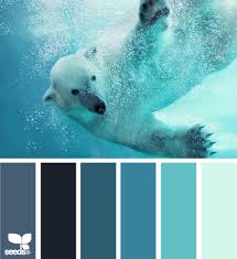 Polar Palette Decor Color Palette Design Seeds Seeds Color