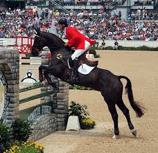 Rolex 3 Day Stadium Jumping Horse Love Horse Rider Equestrian Jumping