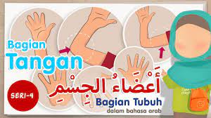 # ( مَنْ تَعَوَّدَ عَلَى شَيْءٍ ، صَارَ أَهْلَهُ ). Belajar Nama Bagian Tubuh Dalam Bahasa Arab Seri 4 Bagian Tangan Youtube