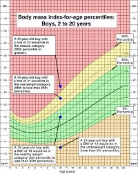 body mass index bmi