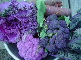 Cabbage plants will survive in partial shade locations, but insufficient light can lead to loosely formed heads and can sometimes. These Cold Hardy Vegetables May Stick It Out Through Winter Osu Extension Service