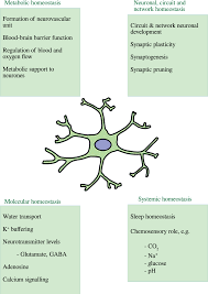 Mustapha, khoo & co (aal0050). Nutritional Ketosis As An Intervention To Relieve Astrogliosis Possible Therapeutic Applications In The Treatment Of Neurodegenerative And Neuroprogressive Disorders European Psychiatry Cambridge Core