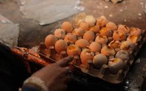 Seperti hal nya jika anda mimpi. Duh Telur Berisi Embrio Ayam Beredar Di Pasar Bogor Bagian 1