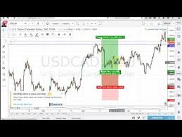 Best Forex Chart Why Is This Software Needed