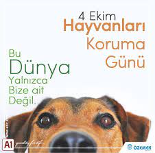 4 ekim hayvanlari koruma gunu kutlu olsun gunaydin hayvan hayvanlar dost animal animals dunya world dog training tips dog training come dog training
