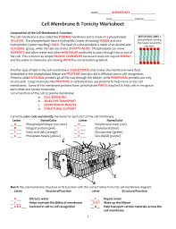 Cell Membrane Tonicity Worksheet