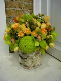 Image result for hedge apples