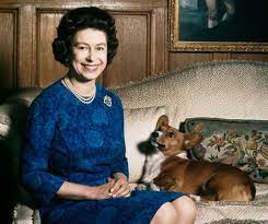 Queen Elizabeth Adopts A New Corgi Whisper Corgi Queen History Of Queen Elizabeth Elizabeth Ii