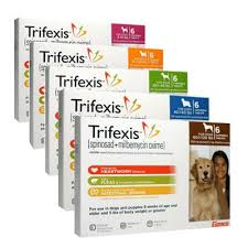 Not so, based on this email promotion pic.twitter.com/zkmaslfowy. Hannah The Pet Society Portland Home Delivery Trifexis For Dogs 21433306pk