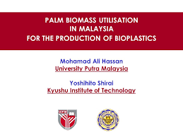 Based on an independent global biomass industry benchmarking, malaysia is ranked no. Palm Biomass Utilisation In Malaysia For The Production Of Bioplastics Ppt Video Online Download