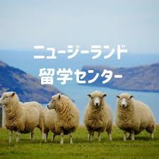 ニュージーランドと聞くと「 羊の国 」というイメージがある方も多いと思います。 人よりも多くの羊がいて、広大な農場に羊がのびのびと生きている… ところが実は近年、 羊の数はドンドン減っている んです。 最近の国勢調査（2018年）によると、その数がさらにここ数年で減ってしまって. ãƒ‹ãƒ¥ãƒ¼ã‚¸ãƒ¼ãƒ©ãƒ³ãƒ‰ç•™å­¦ã‚»ãƒ³ã‚¿ãƒ¼ Nzdeow Twitter