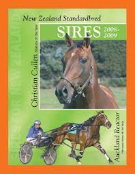 Christian Cullen - Harnesslink