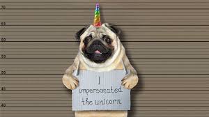 On the internet, the slang term unicorn is defined as someone or something that is rare and holds a high value in your life. A World Of Increasing Expectation 10x Engineers And Unicorn Designers By B Scott Hoadley Ux Collective