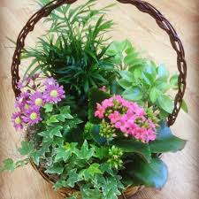 Established in 1932, ashland addison florist has been a premier provider of beautiful floral arrangements and gorgeous flower bouquets for nearly 100 years.hand crafted by our expert designers, our colorful stems, blossoming plants, and fragrant arrangements have warmed hearts across chicago for any occasion. Arlington Heights Florist Flower Delivery By Arlington Heights Florist