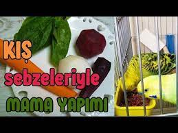 kis sebzeleriyle muhabbet kusu mama yapimi youtube sebzeler manti muhabbet kuslari