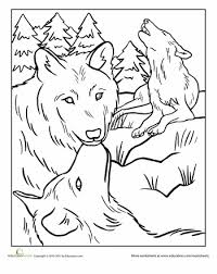 Kids can colour the wolf images shades of grey, black, and white to help blend into the snowy forests. Wolf Pack Worksheet Education Com Wolf Coloring Pages Horse Coloring Pages Animal Coloring Pages