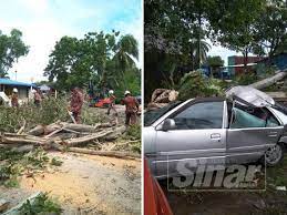 Claim kereta hempap pokok cuaca baik. Pokok Tumbang Hempap Dua Kereta
