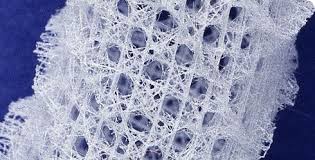 We Are Redeveloping Our Website Deep Sea Animals Patterns In Nature Nature Inspiration