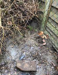 „natur im garten ist eine vom land niederösterreich getragene initiative, welche die ökologisierung von gärten und grünräumen in niederösterreich und über die landesgrenzen hinaus vorantreibt. Dagmar Ludwig Kampft Gegen Ratten In Ihrem Garten Und Muss Ohne Hilfe Der Stadt Auskommen