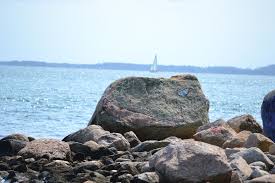 Pin On Point O Woods