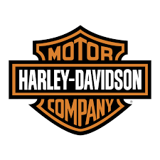We have 61 free harley davidson vector logos, logo templates and icons. Harley Davidson Flame Vector Logo Download Free Svg Icon Worldvectorlogo