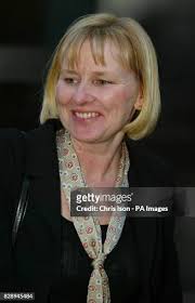 84 Pestered Stock Photos, High-Res Pictures, and Images