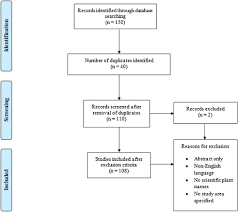 Image result for Xysmalobium heudelotianum
